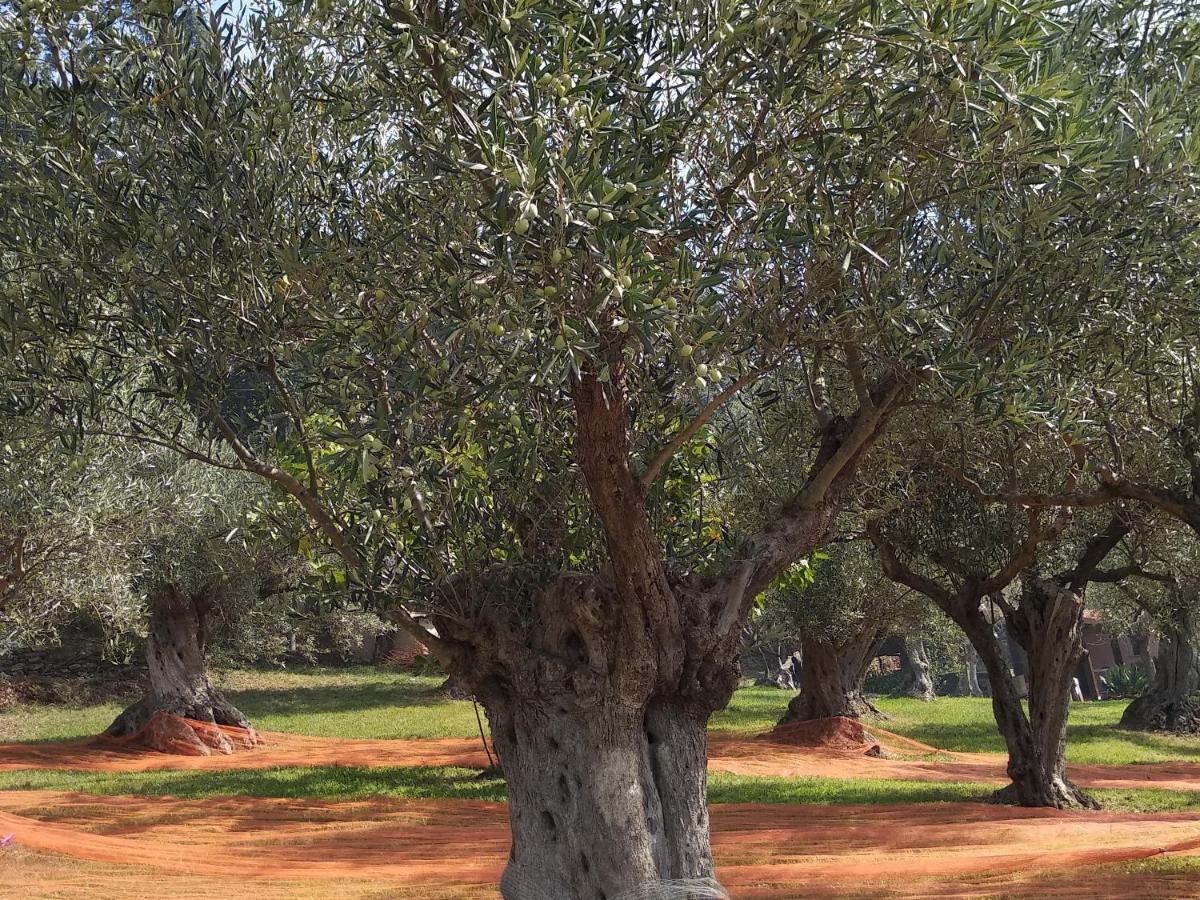 B&B Casa Gemma Lamezia Terme Εξωτερικό φωτογραφία