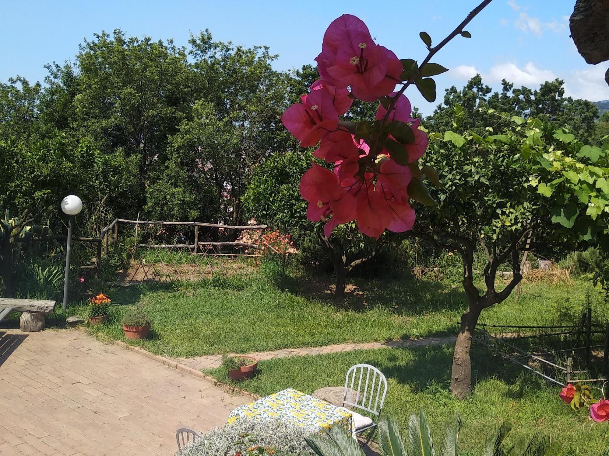 B&B Casa Gemma Lamezia Terme Εξωτερικό φωτογραφία